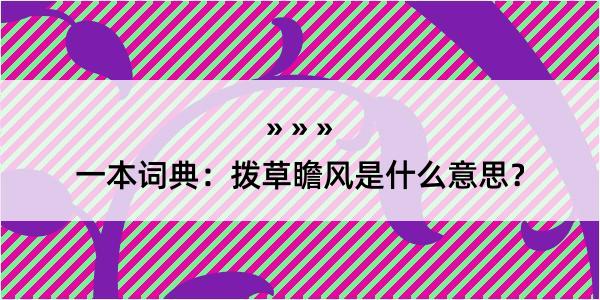 一本词典：拨草瞻风是什么意思？