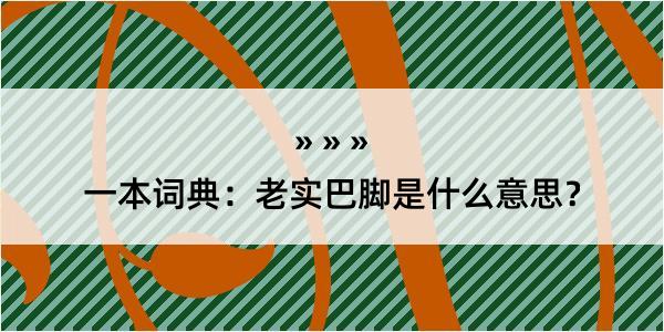 一本词典：老实巴脚是什么意思？