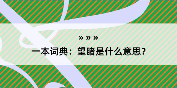 一本词典：望睹是什么意思？