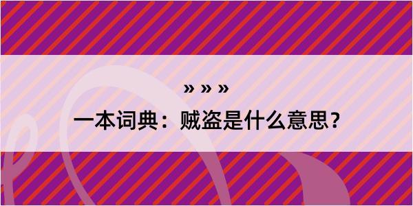 一本词典：贼盗是什么意思？