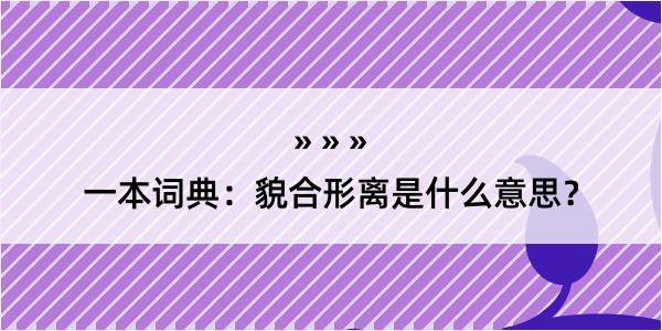 一本词典：貌合形离是什么意思？