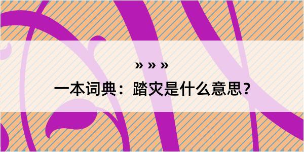 一本词典：踏灾是什么意思？