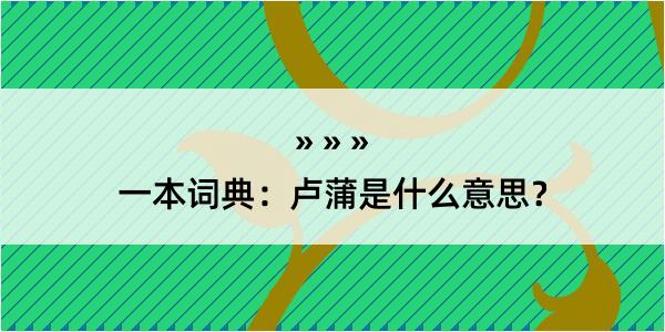 一本词典：卢蒲是什么意思？