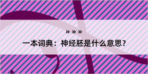 一本词典：神经胚是什么意思？