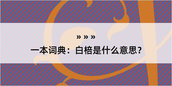 一本词典：白棓是什么意思？