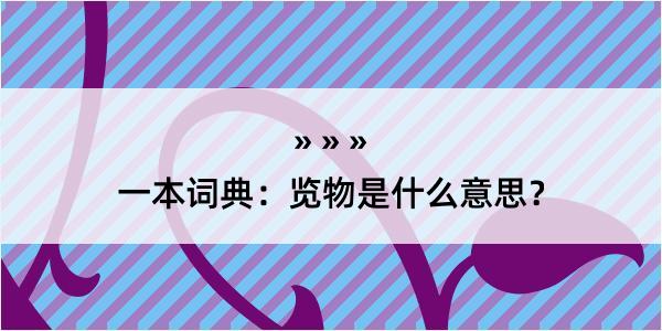 一本词典：览物是什么意思？