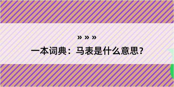 一本词典：马表是什么意思？