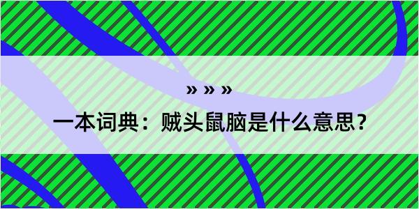 一本词典：贼头鼠脑是什么意思？