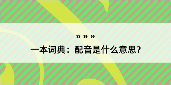 一本词典：配音是什么意思？