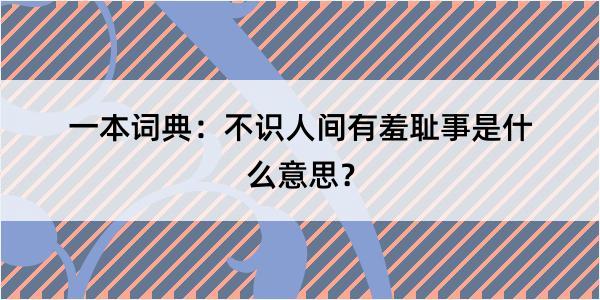 一本词典：不识人间有羞耻事是什么意思？