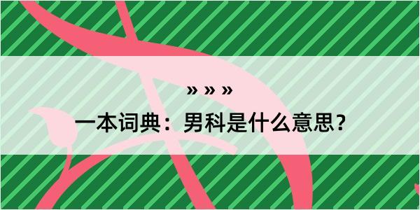 一本词典：男科是什么意思？