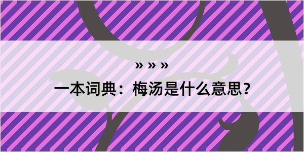 一本词典：梅汤是什么意思？