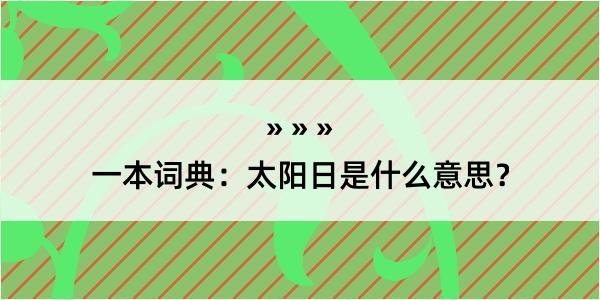 一本词典：太阳日是什么意思？