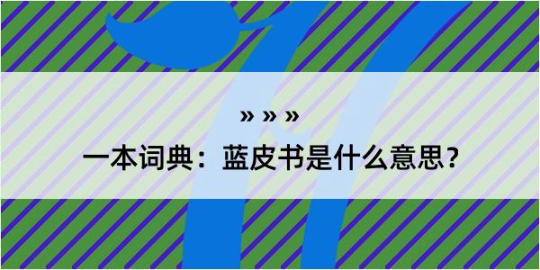 一本词典：蓝皮书是什么意思？