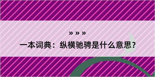 一本词典：纵横驰骋是什么意思？