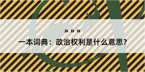 一本词典：政治权利是什么意思？