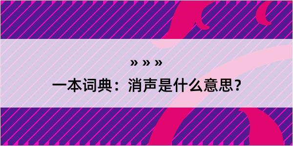 一本词典：消声是什么意思？