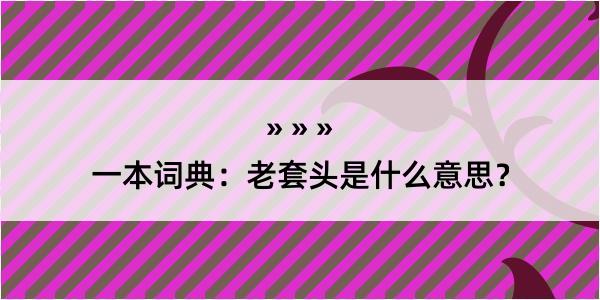 一本词典：老套头是什么意思？