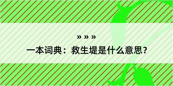 一本词典：救生堤是什么意思？