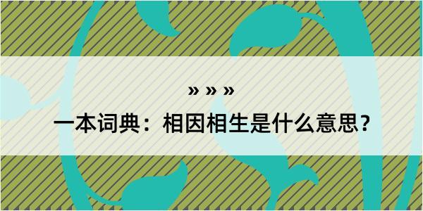 一本词典：相因相生是什么意思？