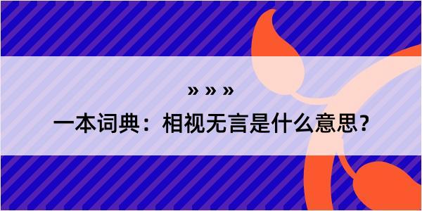 一本词典：相视无言是什么意思？