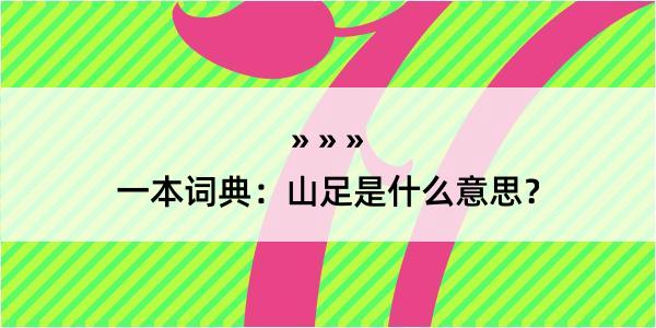 一本词典：山足是什么意思？