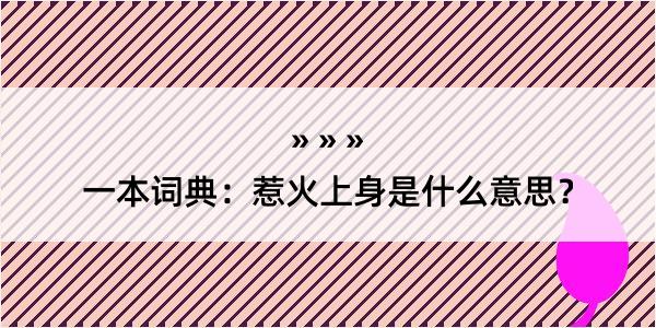 一本词典：惹火上身是什么意思？