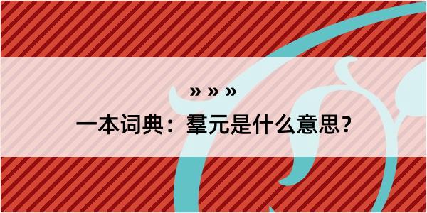 一本词典：羣元是什么意思？