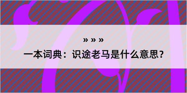 一本词典：识途老马是什么意思？