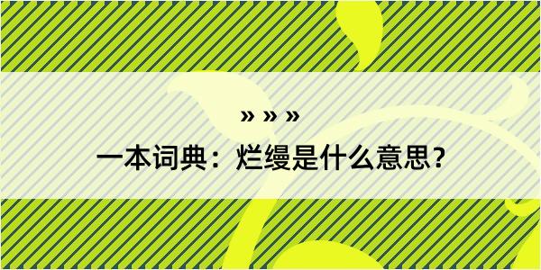 一本词典：烂缦是什么意思？