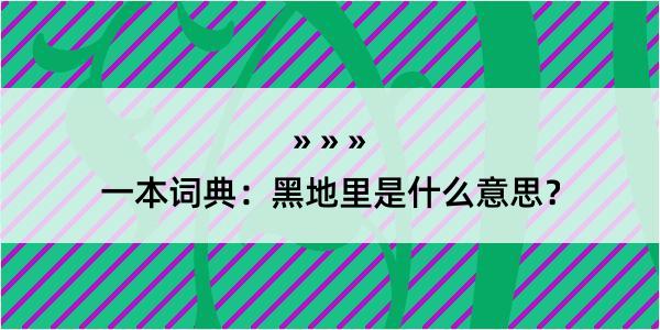 一本词典：黑地里是什么意思？