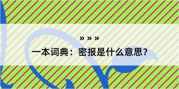 一本词典：密报是什么意思？