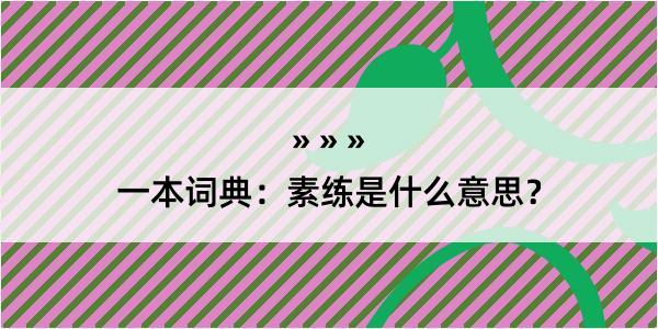 一本词典：素练是什么意思？