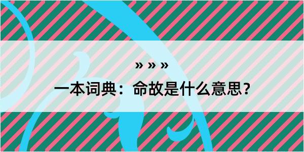 一本词典：命故是什么意思？