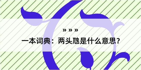 一本词典：两头虺是什么意思？