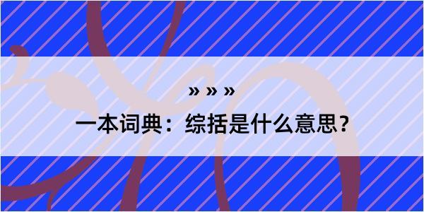 一本词典：综括是什么意思？