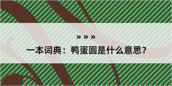 一本词典：鸭蛋圆是什么意思？