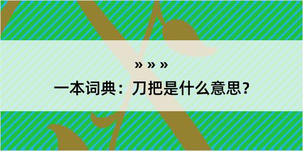 一本词典：刀把是什么意思？