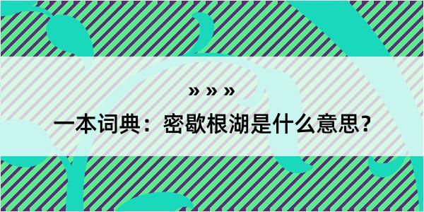 一本词典：密歇根湖是什么意思？