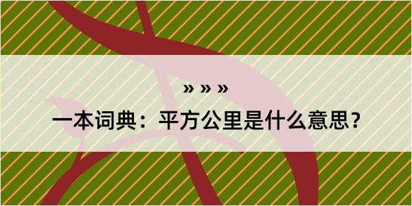 一本词典：平方公里是什么意思？