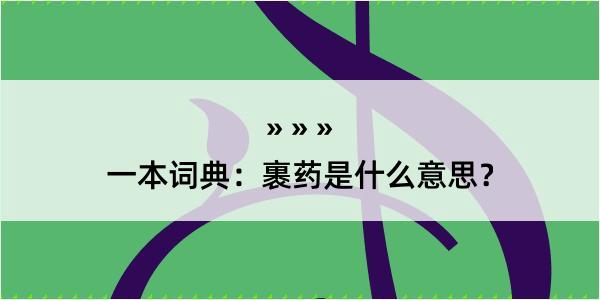 一本词典：裹药是什么意思？