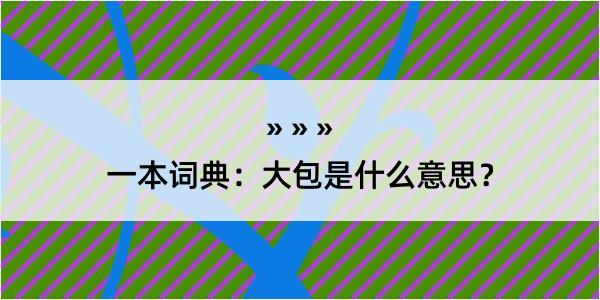 一本词典：大包是什么意思？