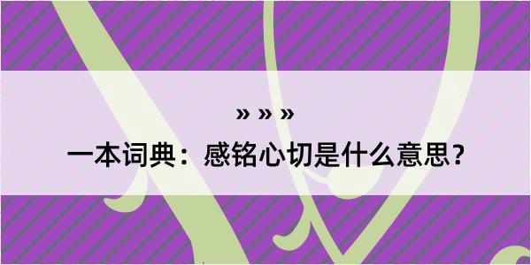 一本词典：感铭心切是什么意思？