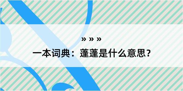 一本词典：蓬蓬是什么意思？