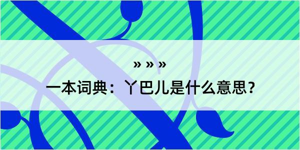 一本词典：丫巴儿是什么意思？