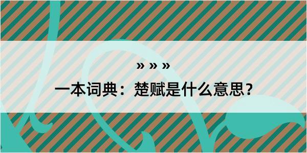 一本词典：楚赋是什么意思？