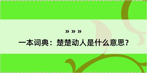 一本词典：楚楚动人是什么意思？