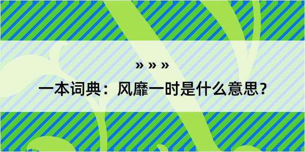 一本词典：风靡一时是什么意思？