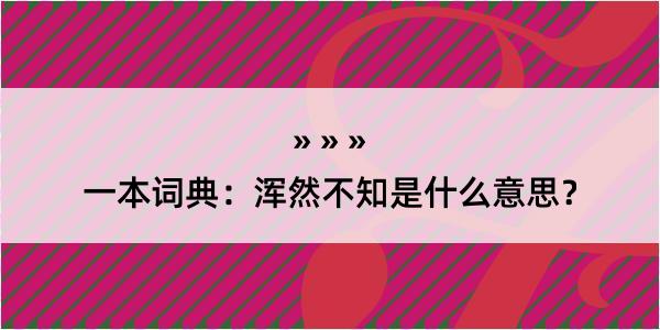 一本词典：浑然不知是什么意思？