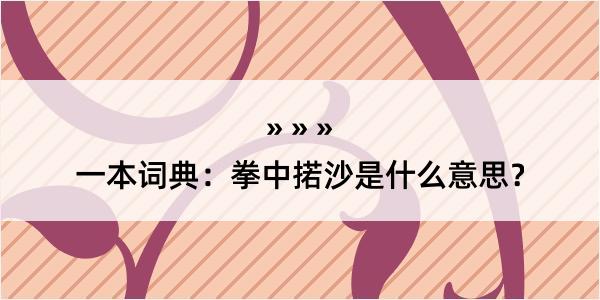 一本词典：拳中掿沙是什么意思？